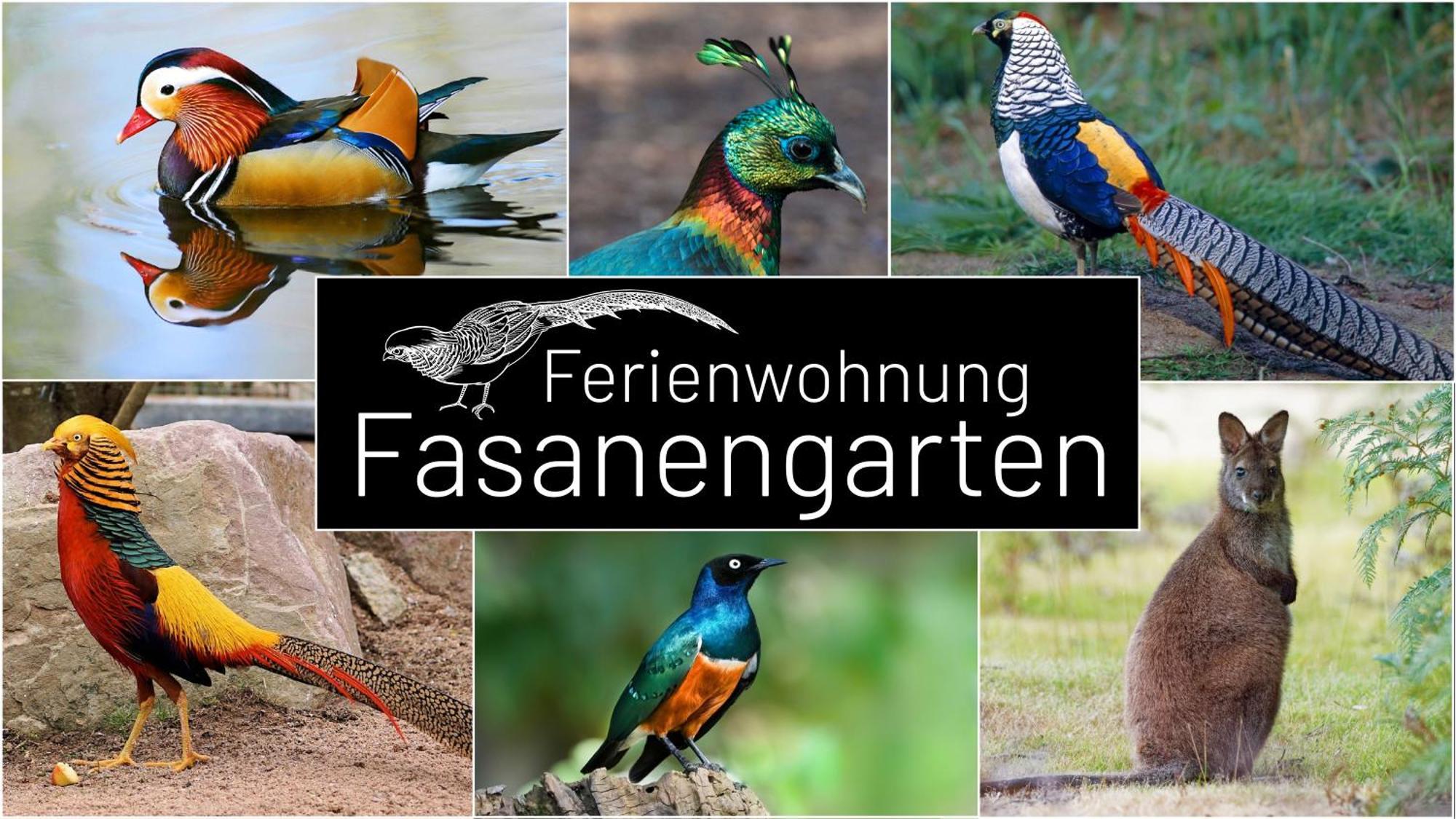 Fasanengarten In Traunreut Luaran gambar